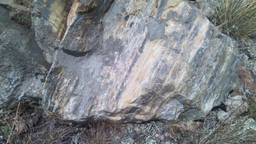 Гигантские зелёные валуны для ландшафтного дизайна весом более 5 тонн купить в Орехово-Зуевом