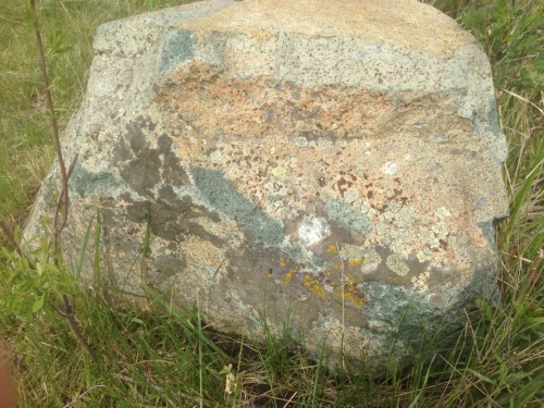 Гигантские зелёные валуны для ландшафтного дизайна весом более 5 тонн купить в Орехово-Зуевом